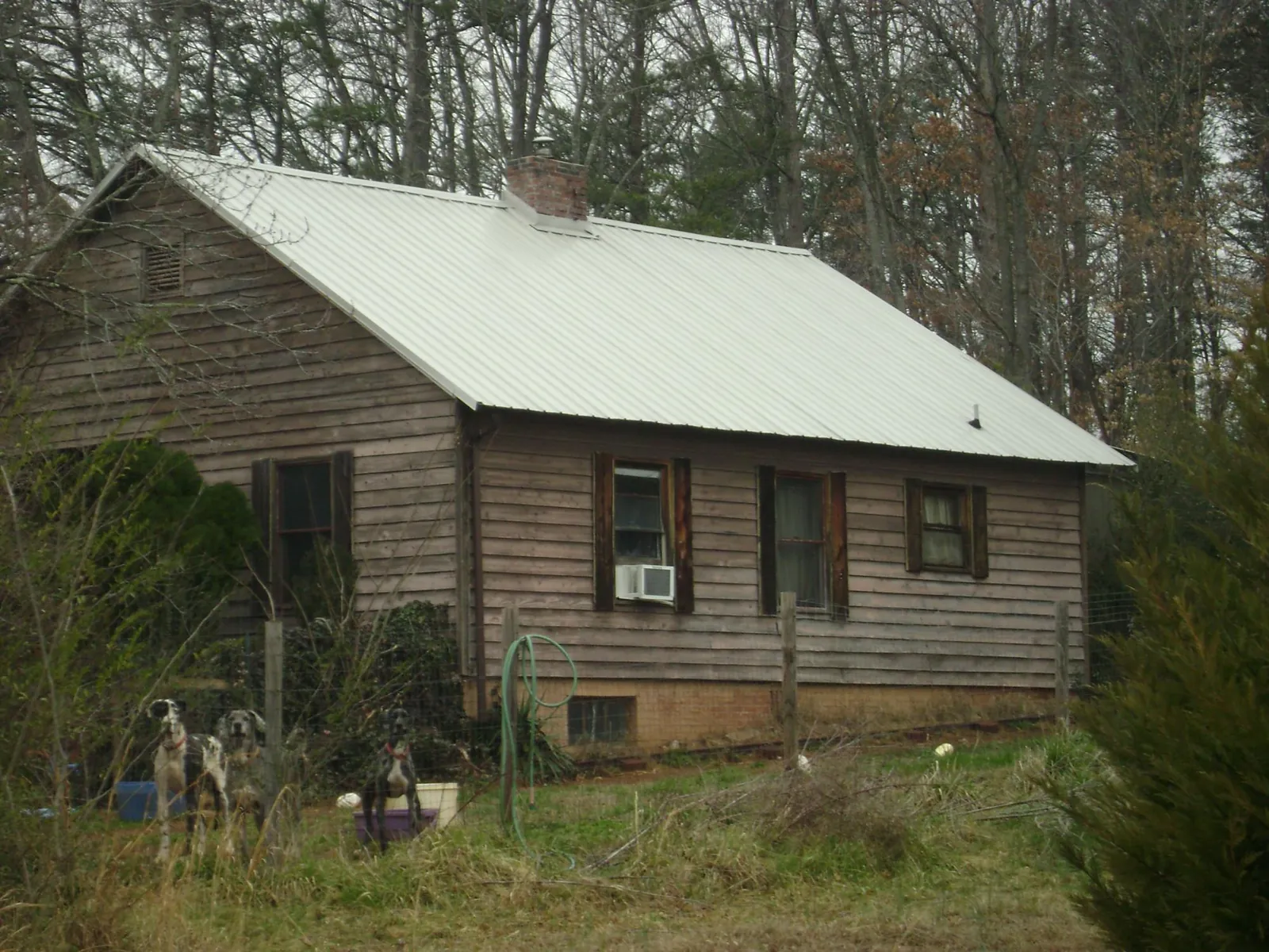 White metal roof on an old wood sided farmhouse, from a Asphalt Shingle Roof Repair job in Cupertino